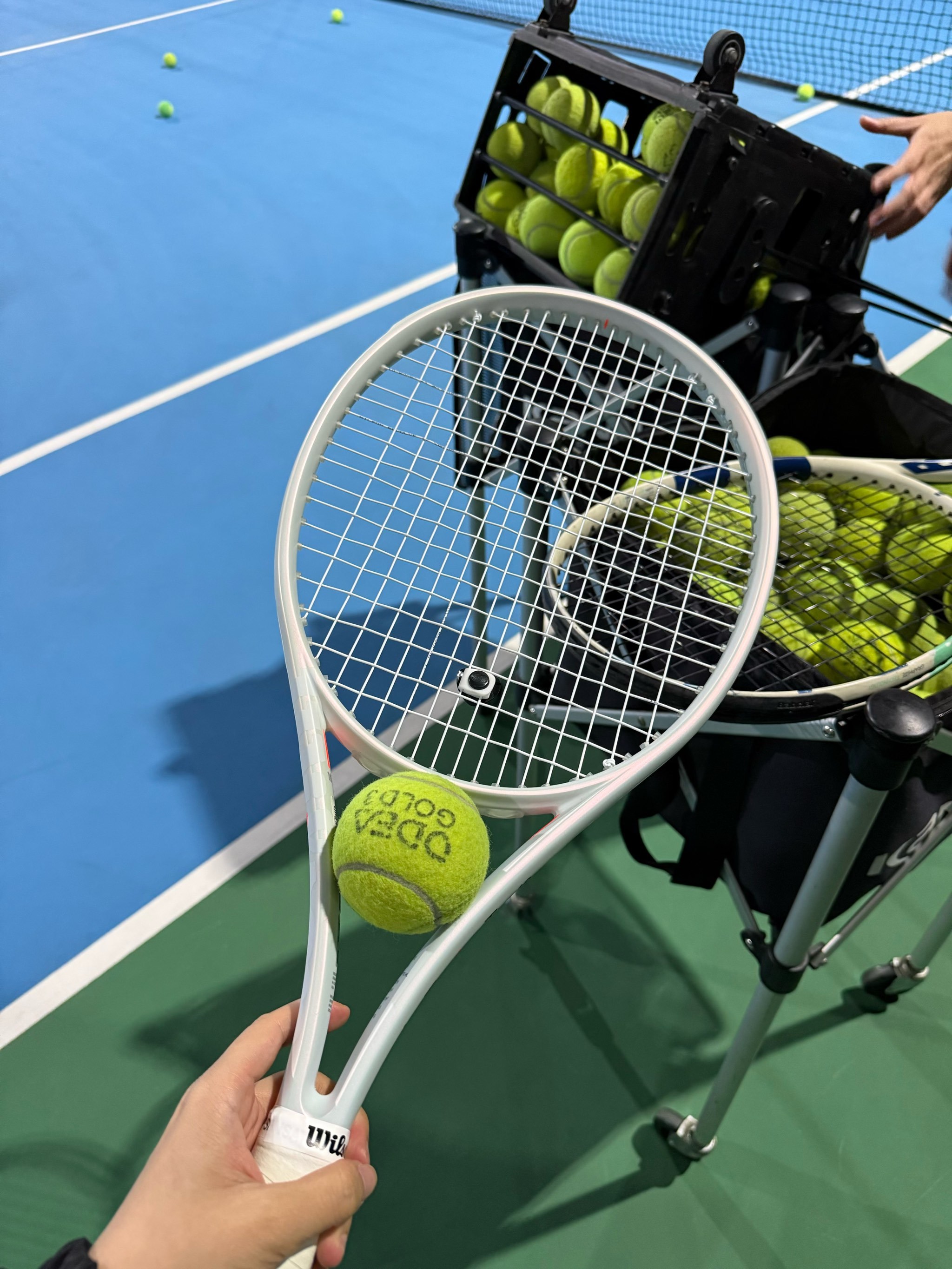 韩国名将孙 韩国名将孙